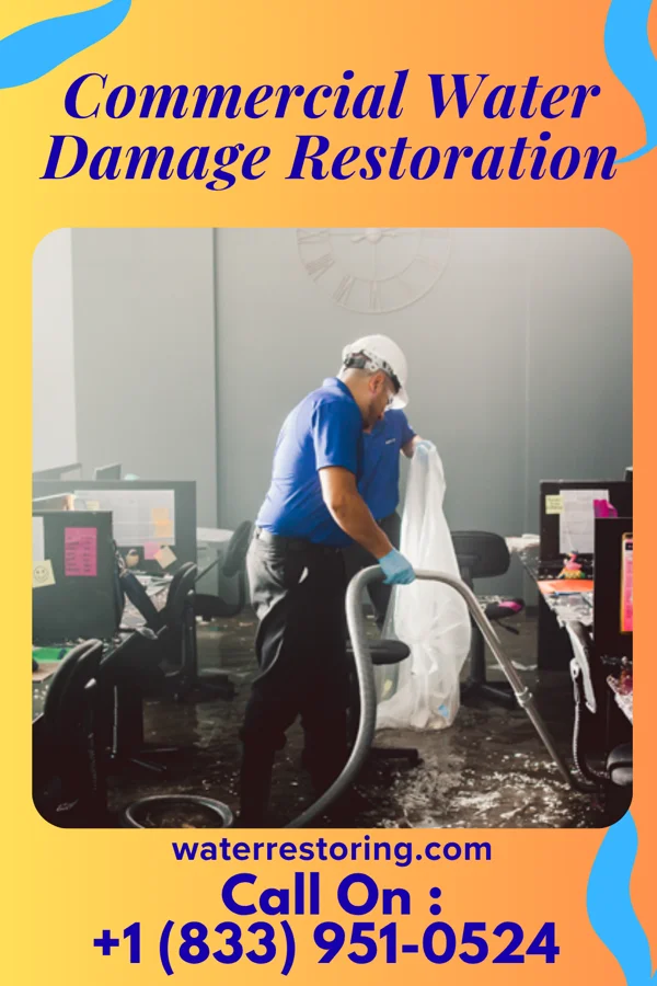 Commercial Water Damage Restoration in Switz City, IN