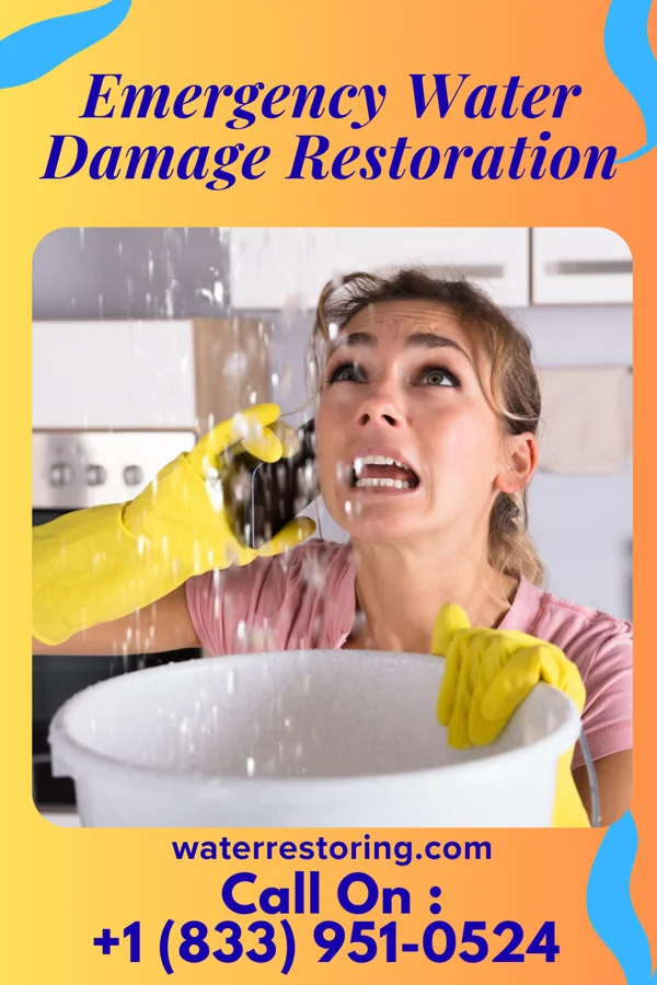 Emergency Water Damage Restoration in Switz City, IN