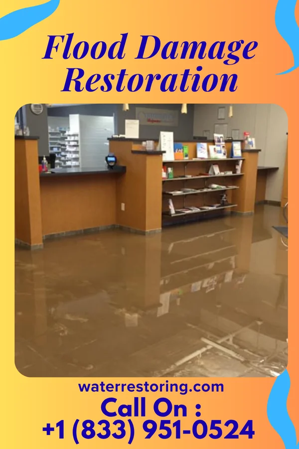 Flood Damage Restoration in Switz City, IN