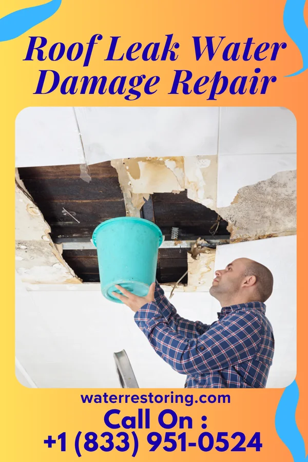 Roof Leak Water Damage Repair in Switz City, IN