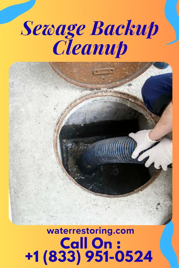 Sewage Backup Cleanup in Switz City, IN