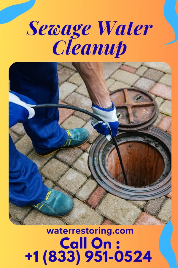 Sewage Water Cleanup in Switz City, IN