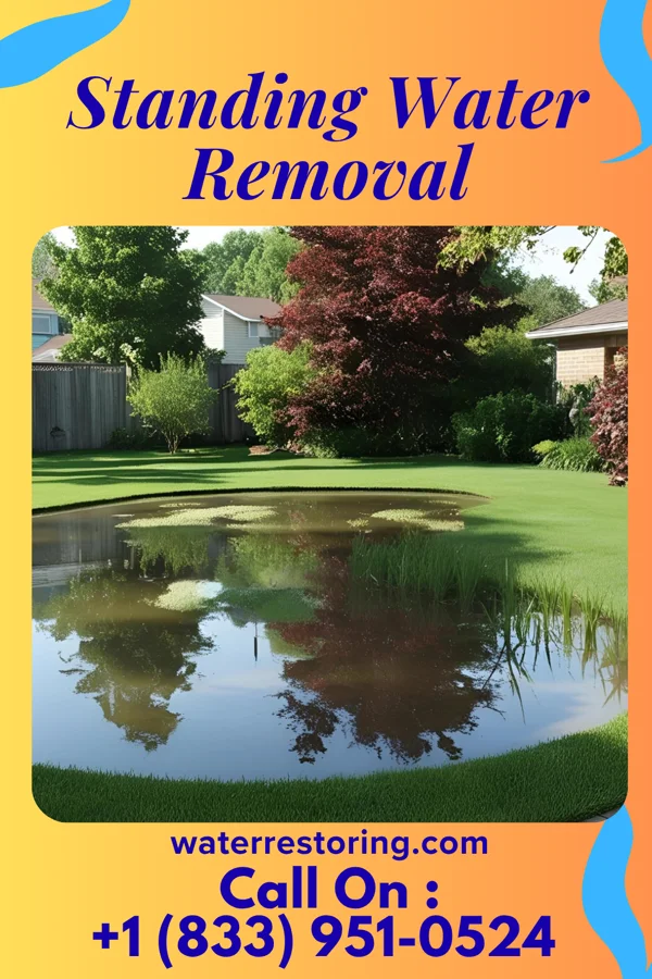 Standing Water Removal in Switz City, IN